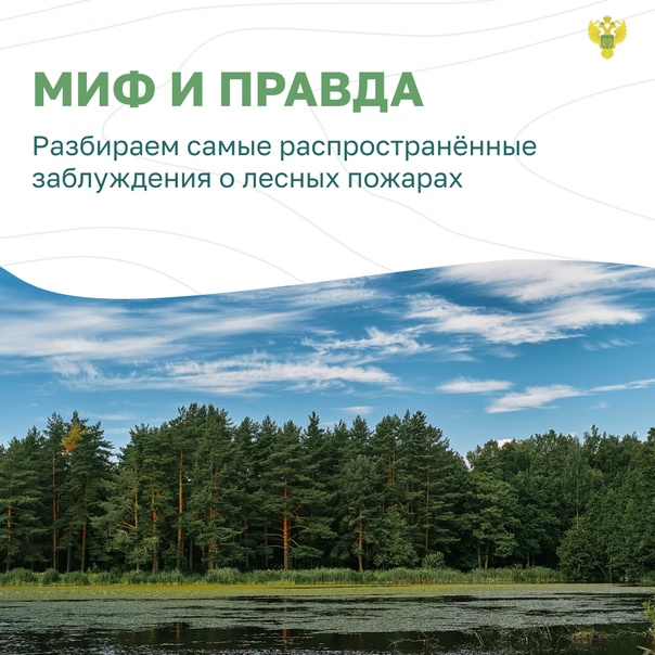 Мифы и правда.